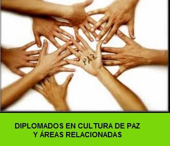paz,cultura de pazonu,naciones unidas,diplomados,diplomados a distancia