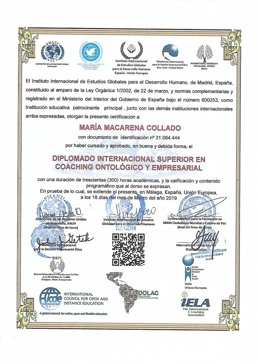 diplomados por internet,diplomados a distancia,diplomados,diplomados internacionales