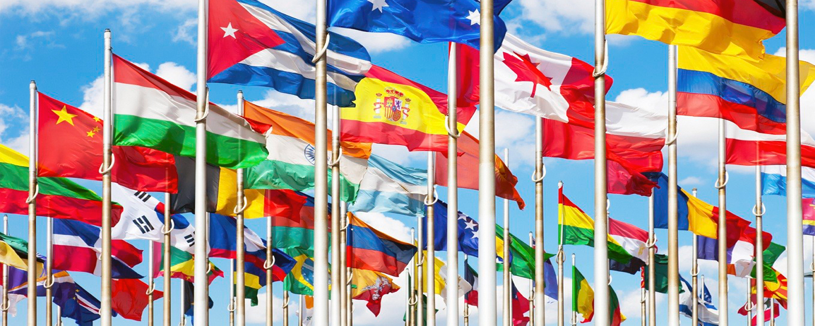 diplomados por internet,diplomados a distancia,diplomados internacionales
